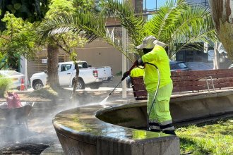 WhatsApp Image 2026-04-01 at 16.03.44.jpeg